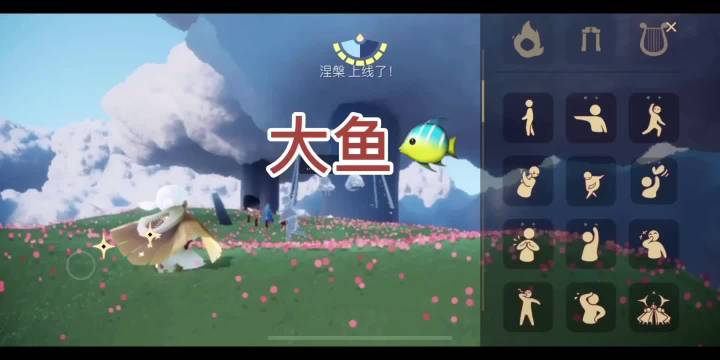 sky光遇 10个光之子, 9个会大鱼...
